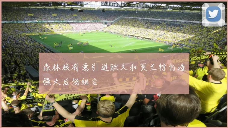 森林狼有意引进欧文和莫兰特打造强大后场组合