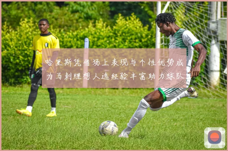 哈里斯凭借场上表现与个性优势成为马刺理想人选经验丰富助力球队发展