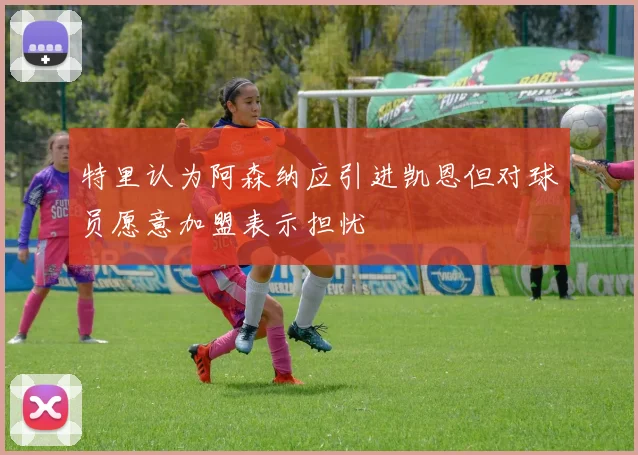特里认为阿森纳应引进凯恩但对球员愿意加盟表示担忧