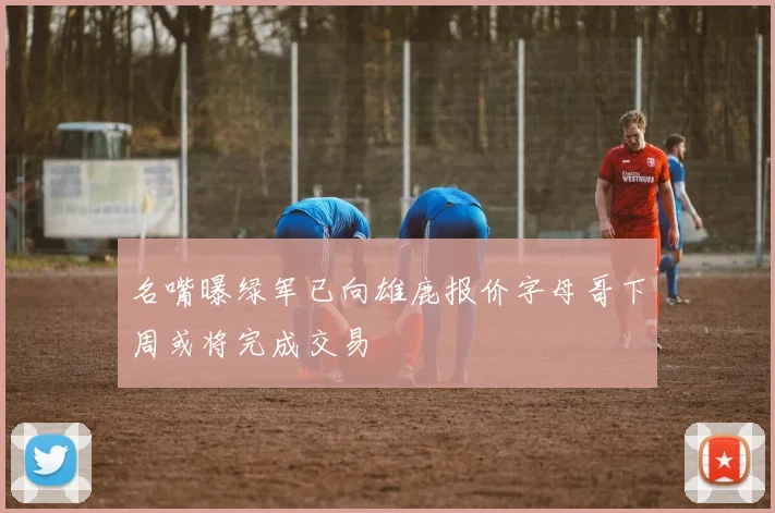 名嘴曝绿军已向雄鹿报价字母哥下周或将完成交易